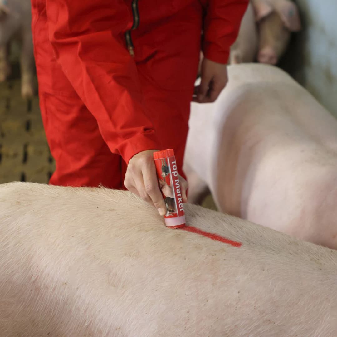 TopMarker piros állatjelölő ceruza – 2. kép