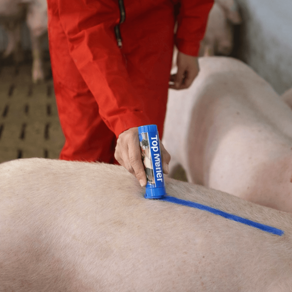 TopMarker kék állatjelölő ceruza – 2. kép