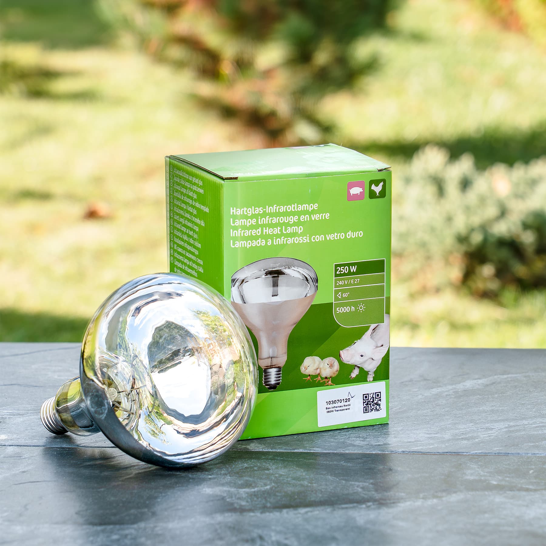 Kerbl 250W átlátszó infralámpa izzó – 4. kép