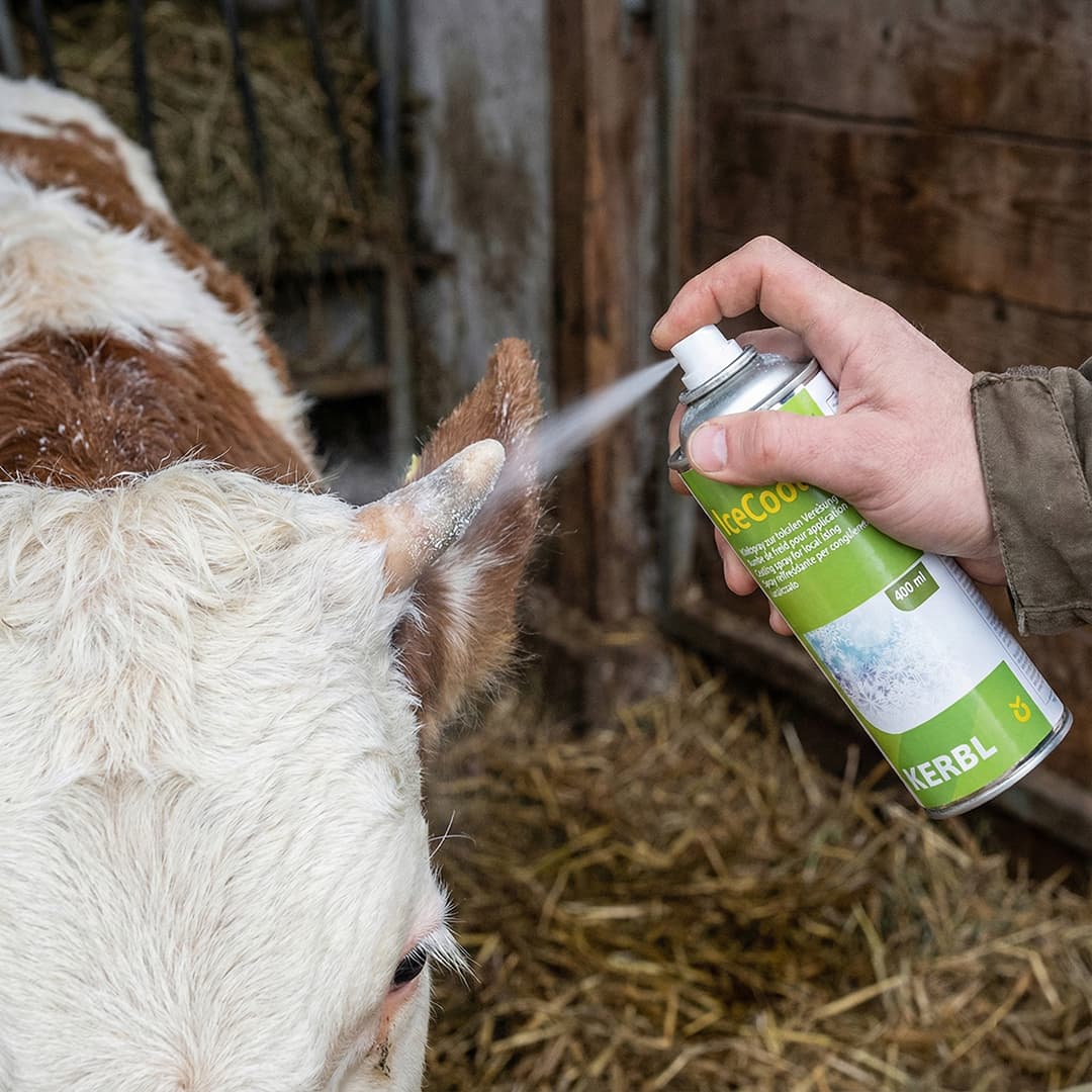 Ice Cool 400 ml hűtőspray gyors hűtéshez – 2. kép