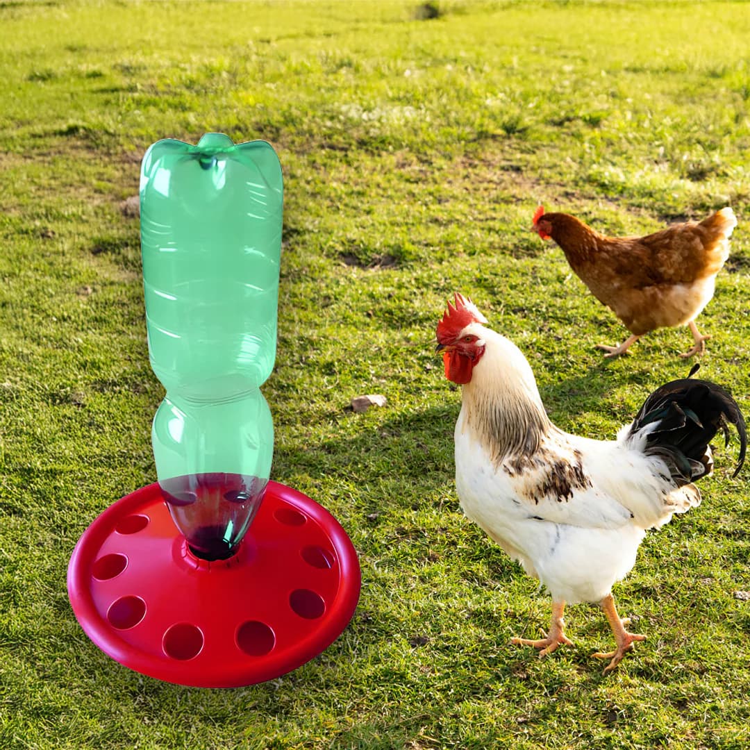 PET palackos itató csirkéknek – 2. kép
