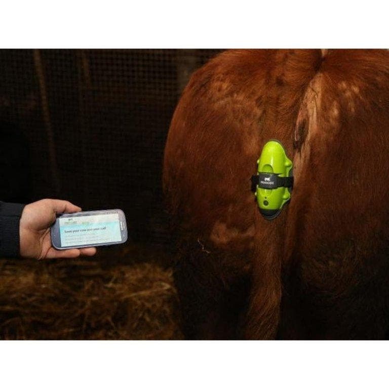 MOOCALL Smart Ellési Érzékelő – 3. kép