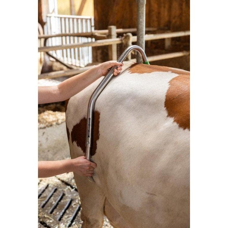 Easy szarvasmarha rögzítő eszköz – 3. kép