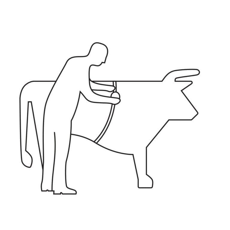 ANImeter állatmérő mérőszalag – 2. kép