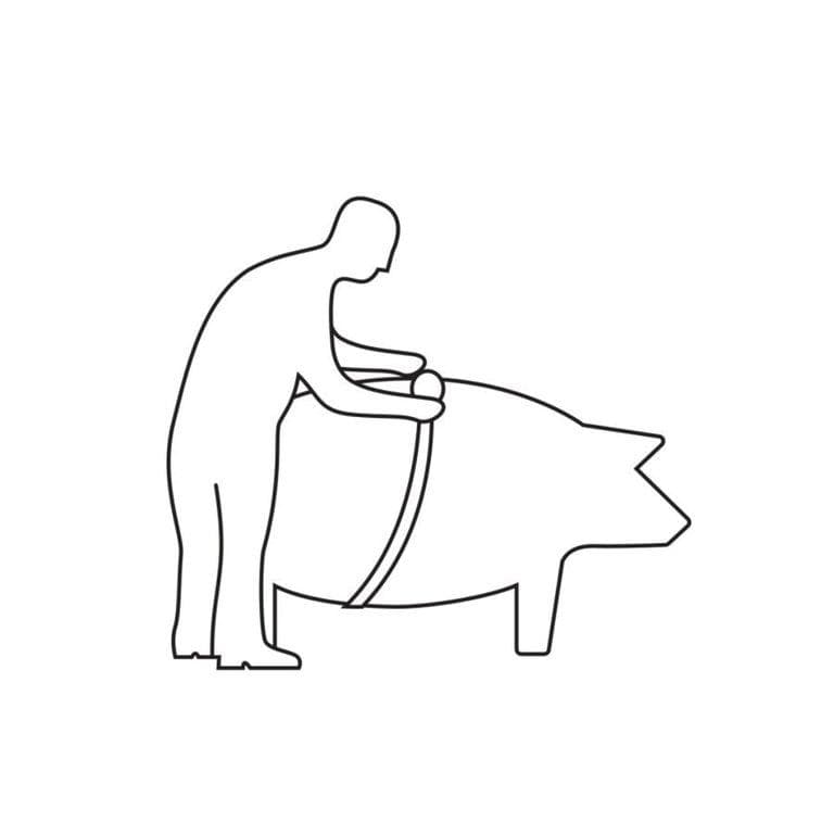 ANImeter állatmérő mérőszalag – 3. kép