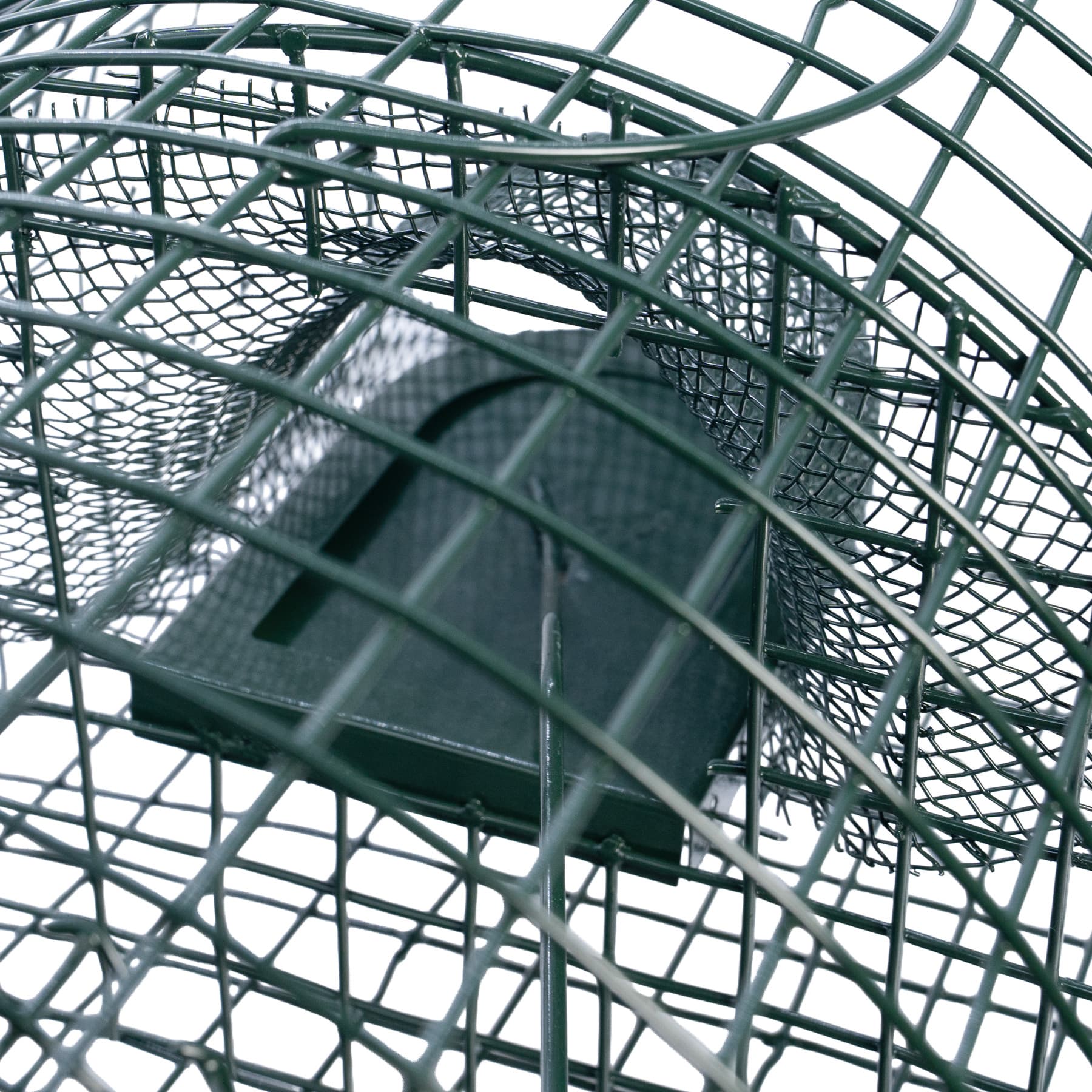 Alive MultiRat élvefogó csapda több patkány számára – 6. kép