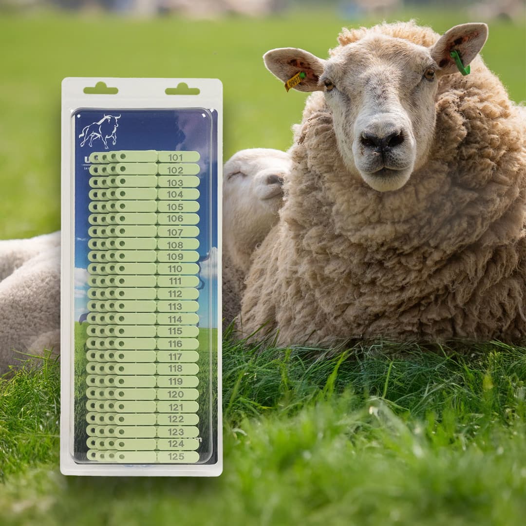 Füljelzők juhok, kecskék és sertések számára - 100 db (Számok 101-200)