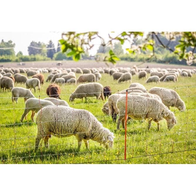 NEXON Villanypásztor Háló Oszlopokkal 108cm – 5. kép