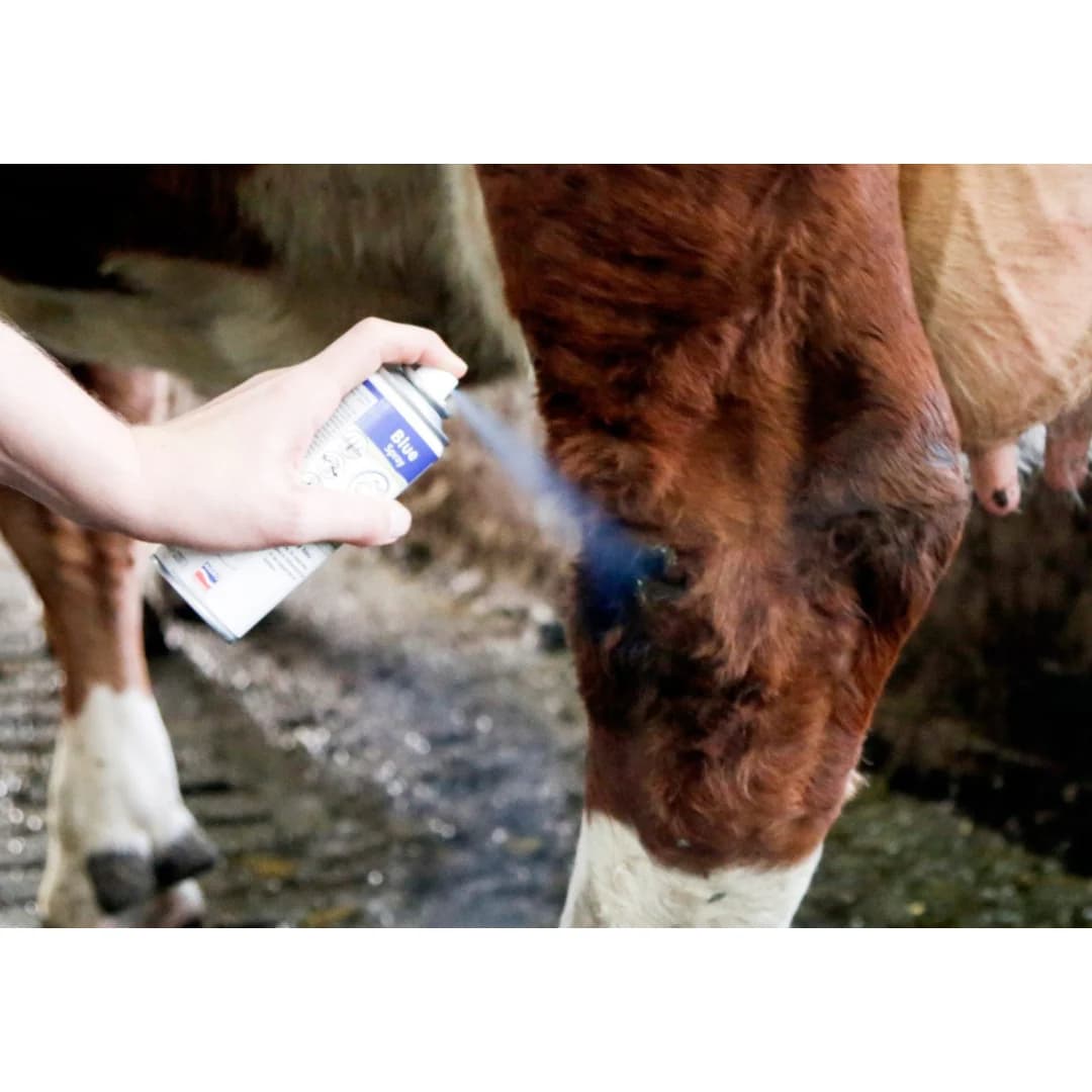 Kék állatápoló és fertőtlenítő spray 200 ml – 3. kép