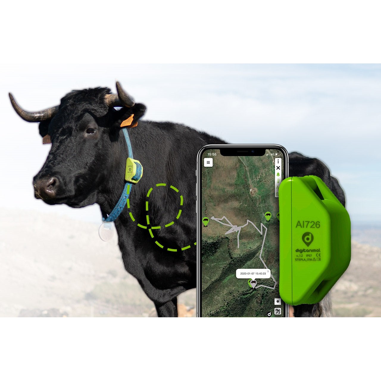 DigiAnimal GPS nyakörv állatok nyomon követésére és helymeghatározására