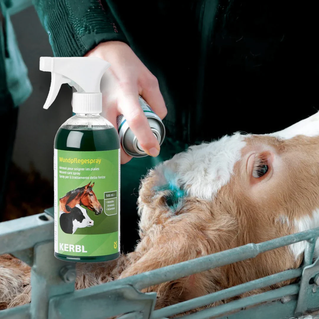 Sebkezelő spray