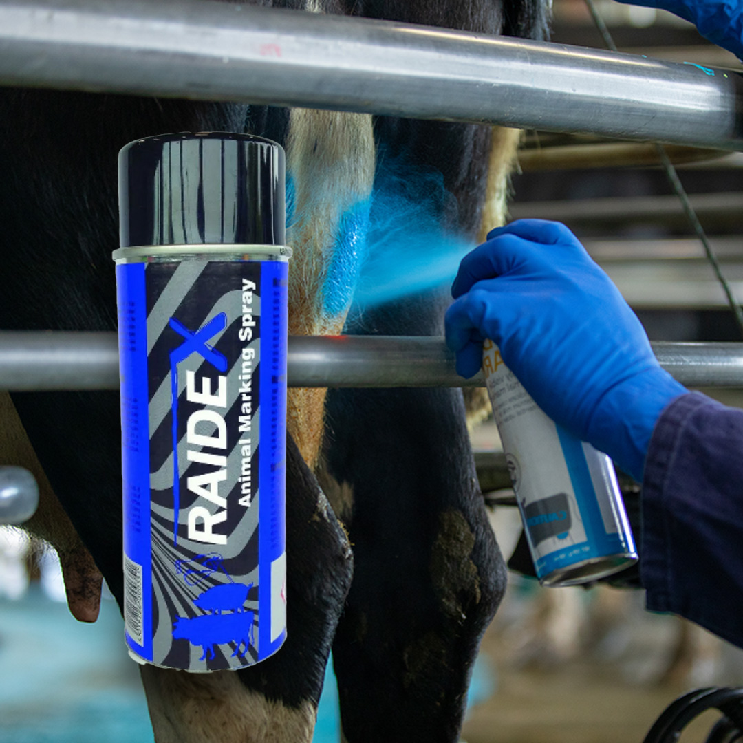 Raidex jelölőspray szarvasmarháknak és sertéseknek