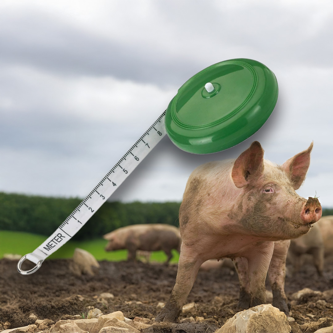 ANImeter állatmérő mérőszalag