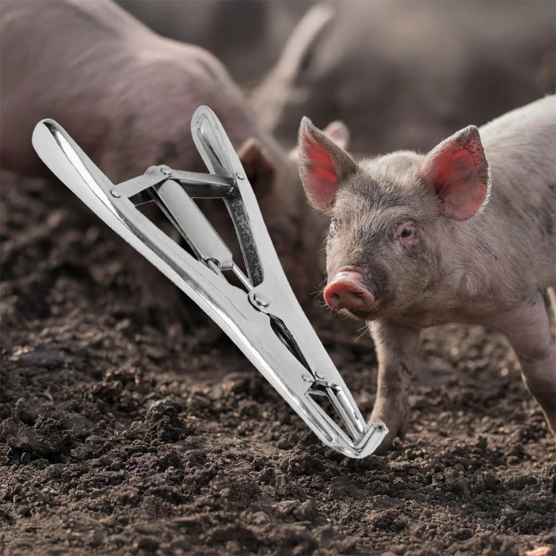 Profi kasztrációs gyűrű felhelyező fogó