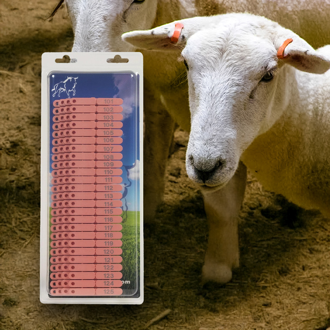 Füljelzők juhok, kecskék és sertések számára – 100 db (Számok 101-200)